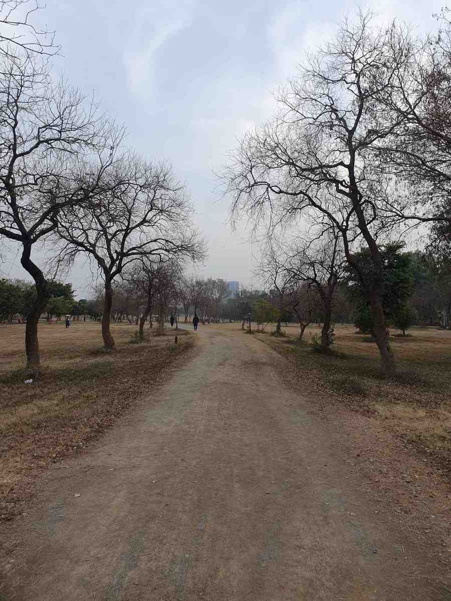 Photography 11