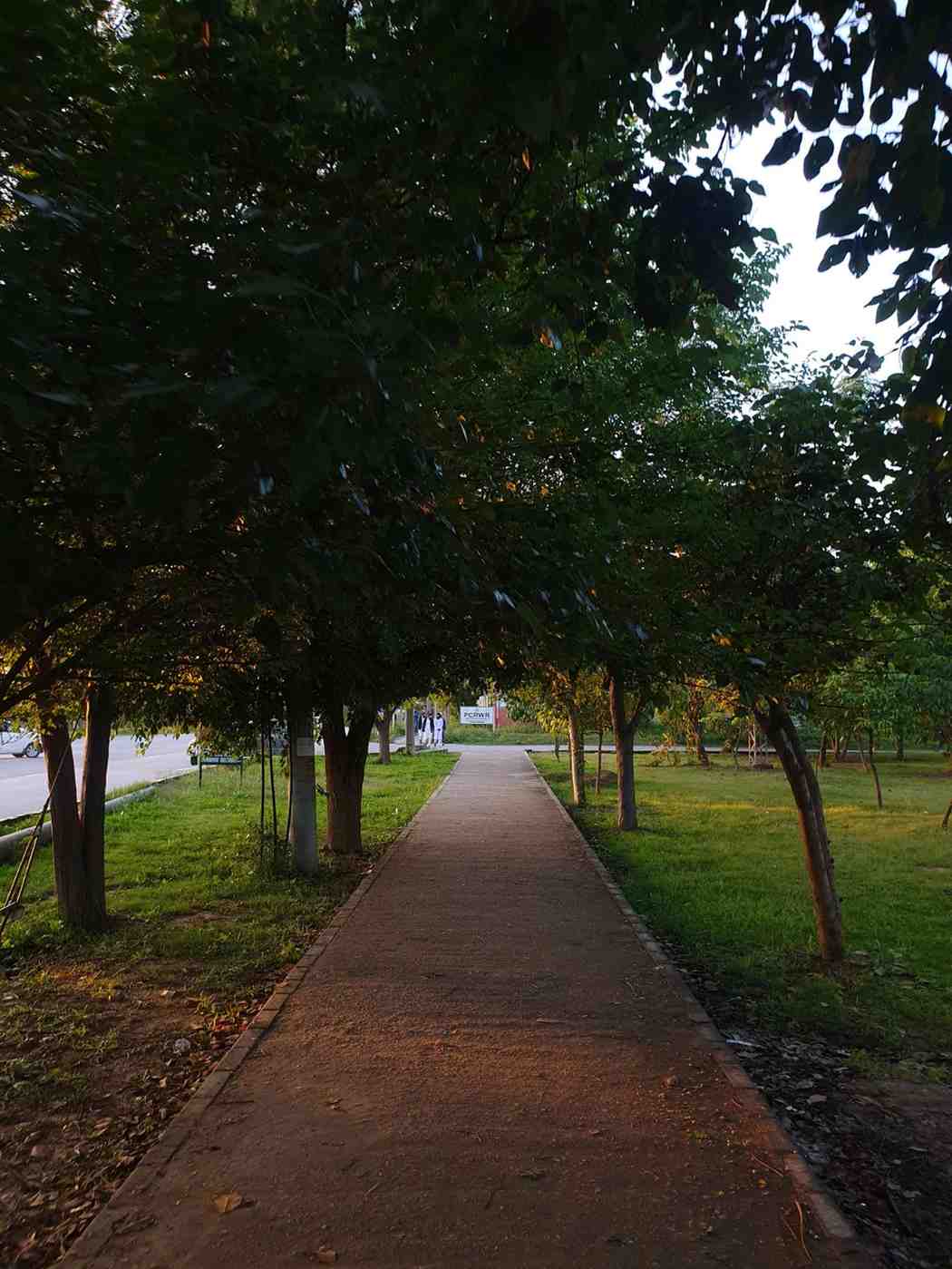 Photography 23